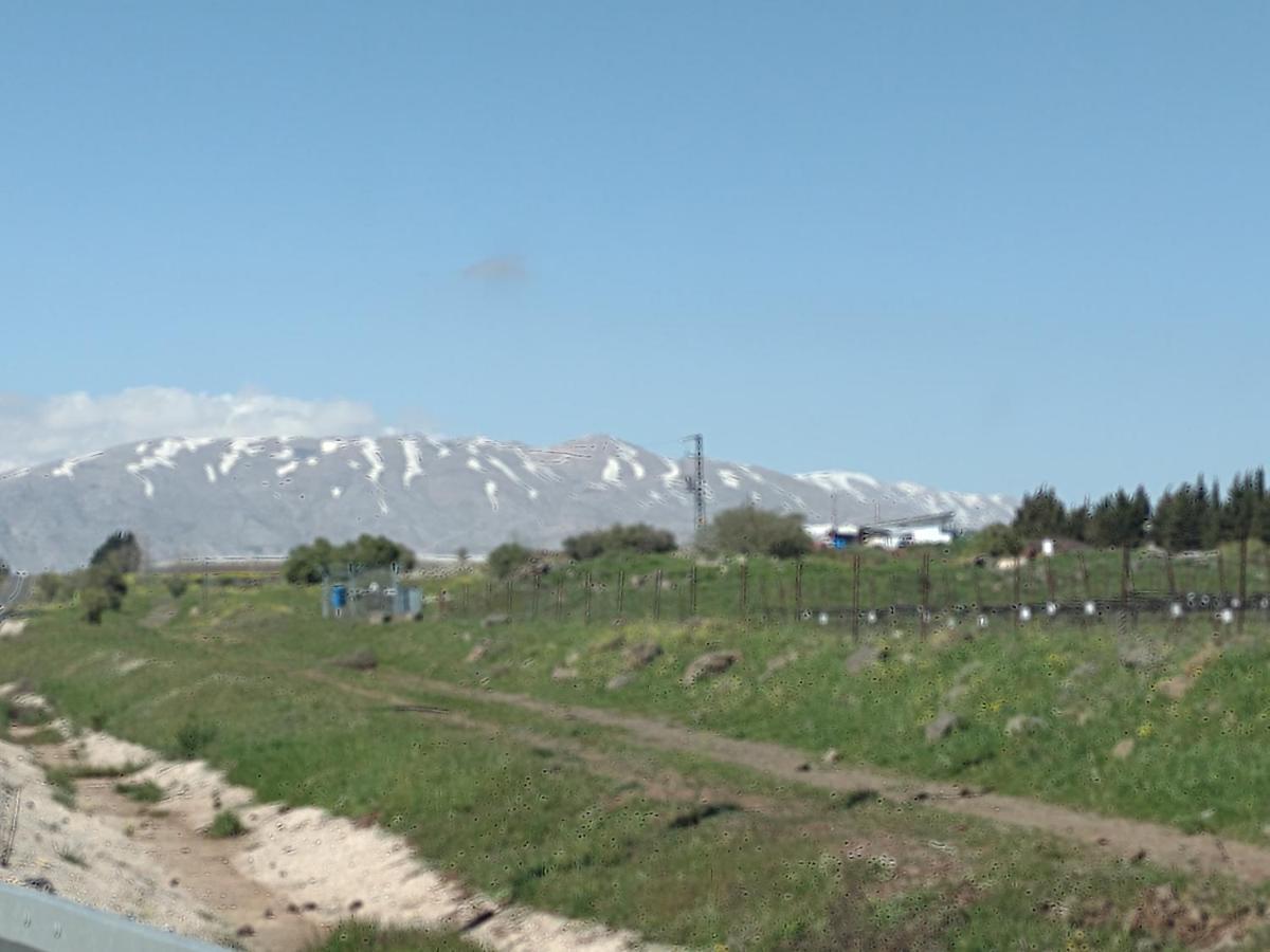 恩泽万יער האלונים公寓 外观 照片