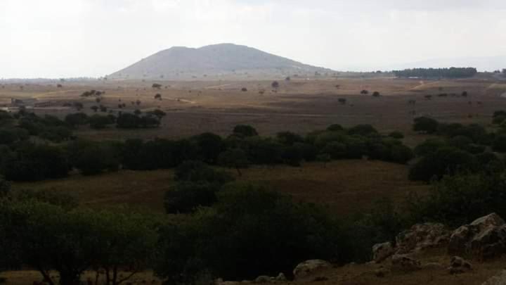 恩泽万יער האלונים公寓 外观 照片